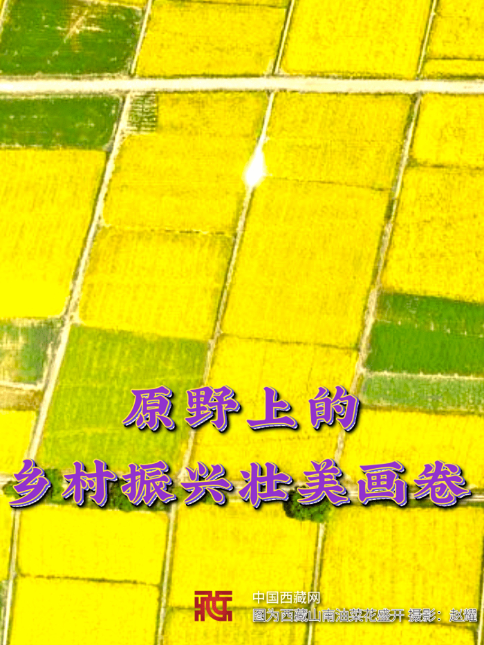 十年答卷?西?? 原野上的乡村振兴壮美画卷_1@凡科快图_副本.jpg
