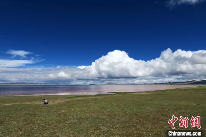 科考队员在兹格塘错湖岸采样。　<a target='_blank' href='http://www.chinanews.com/'><p  align=