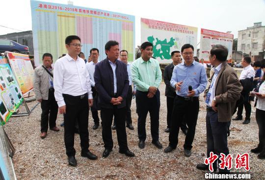 图为嘉宾参观广西贵港市港南区易地扶贫搬迁贫困户后续扶持产业发展种植基地。　杨志雄 摄