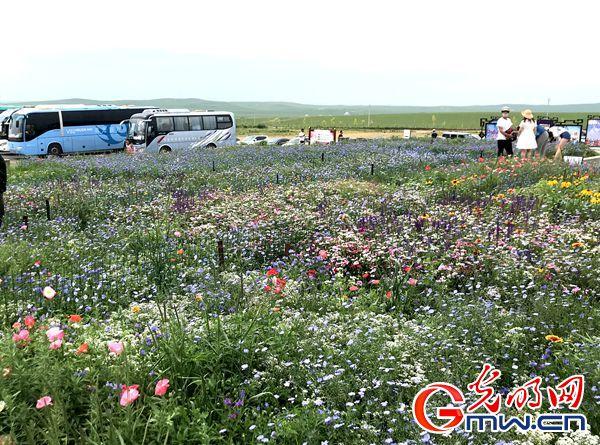 【新时代o幸福美丽新边疆】内蒙古草原牧民乐享崭新生活