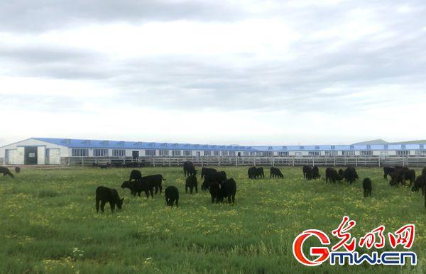 【新时代o幸福美丽新边疆】内蒙古草原牧民乐享崭新生活